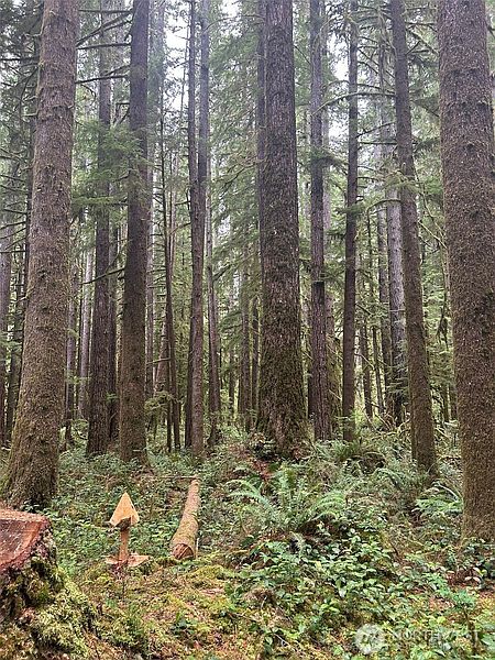 4th image of 99 Highway 101