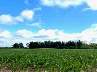 4 Mile Road 230th Ave, Reed City, MI 49677