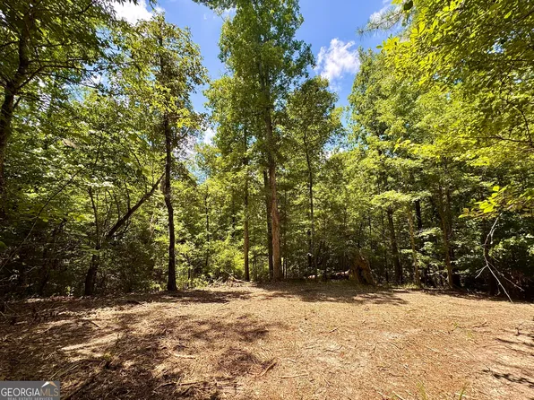 2 Roy Lawrence Rd, Sparta, GA 31087