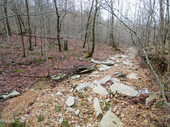 0 Elvis Inman Rd, Linden, TN 37096