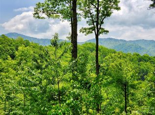 23 Screech Owl Cir UNIT 5, Maggie Valley, NC 28751