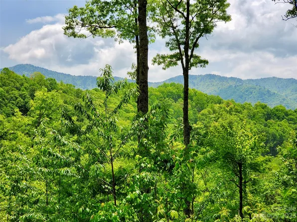 23 Screech Owl Cir Unit 5, Maggie Valley, NC 28751