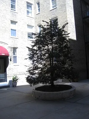 Sold by Block & Lot Real Estate | media 17