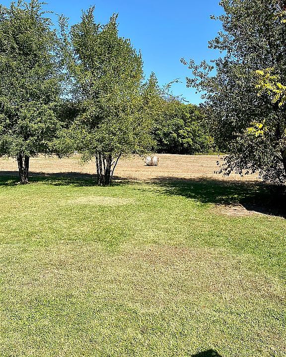 Back yard — farm preserve 