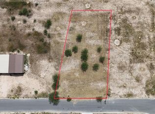 13723 Blueberry Dr, Donna, TX 78537