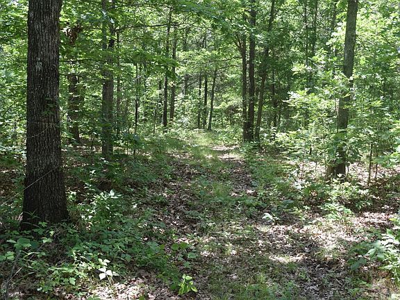 4th image of 17550 County Road 1170
