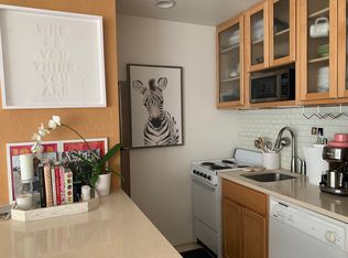 725 E Main St #203, Aspen, CO 81611