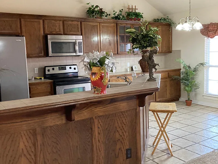 4004 Green Apple Dr — Photo 9