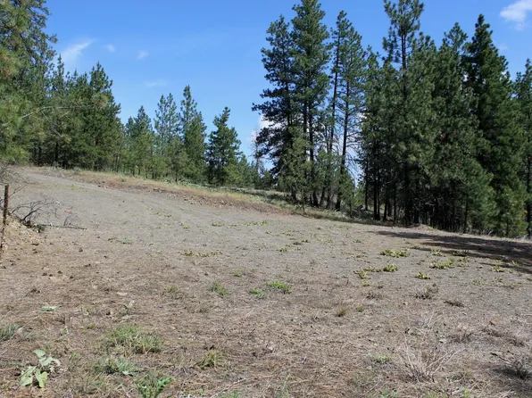 Badger Sontag Ridge Ln Lot 1&2, Davenport, WA 99122
