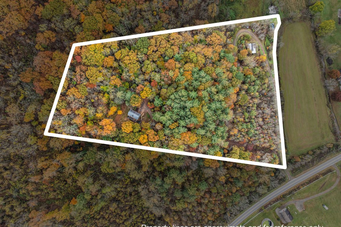 next background image