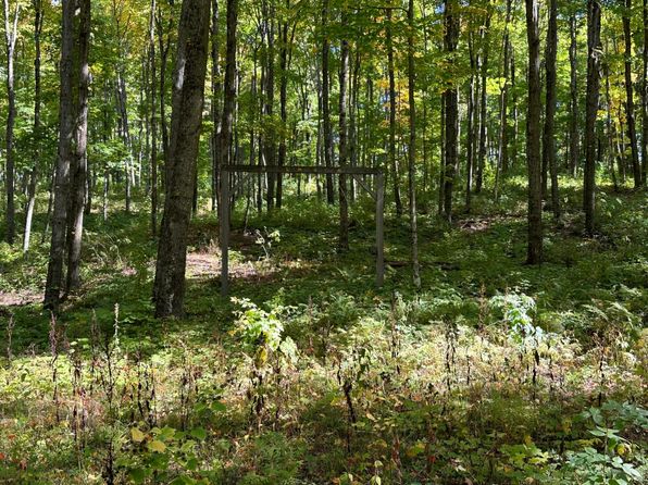 Off County Line Lake Rd, Bruce Crossing, MI 49912