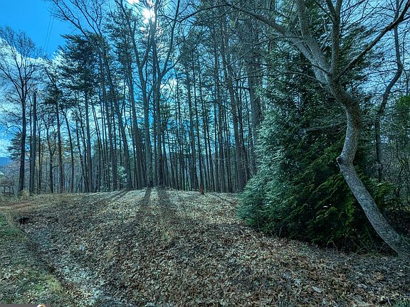 3rd image of LOT 30 31 Eagle Ridge Rd