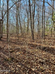 114 Hunterwood Ln, Crossville, TN, 38558