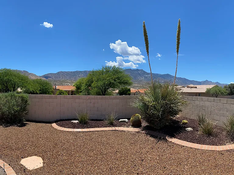 View from Backyard
