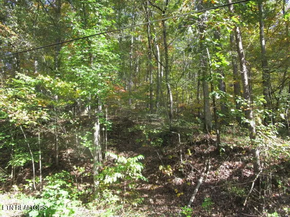 Long Acres Rd, Blaine, TN 37709