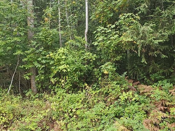 2nd image of 31 lot # E Shorecrest Drive