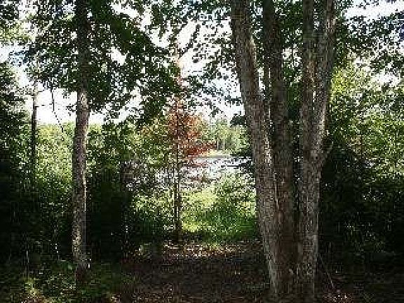 5th image of #3 MOOSE CREEK LN