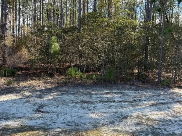 0 Heritage Cir, Hortense, GA 31543