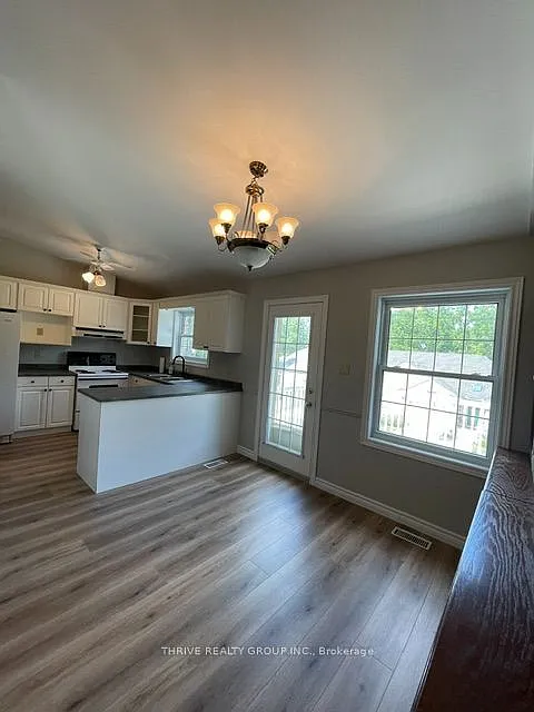 Maple — Photo 3
