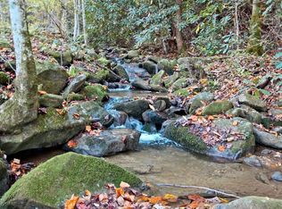 6.46 Trail Hollow Rd, Cosby, TN 37722