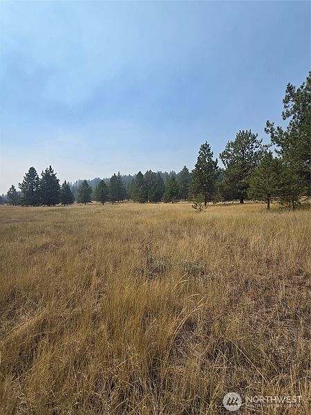 5th image of 0 TBD Turner Lake Road