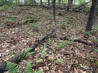 342 Dickinson Hill Rd, Diamond Pt, NY 12824