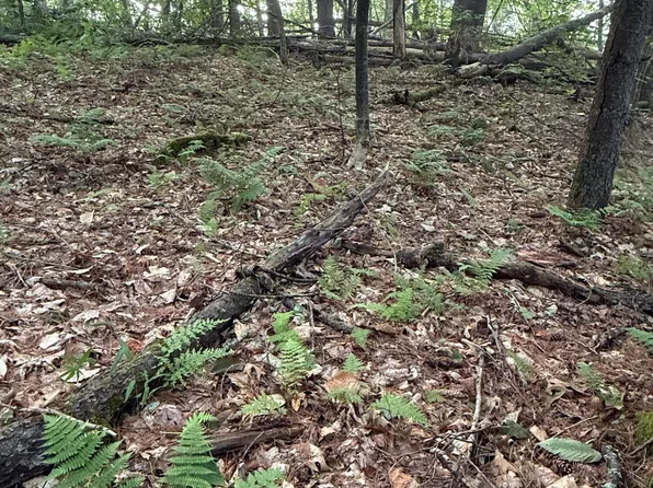 342 Dickinson Hill Road, Bolton, NY 12824