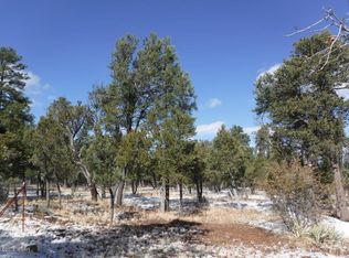 2032 Jones Pass, Overgaard, AZ 85933