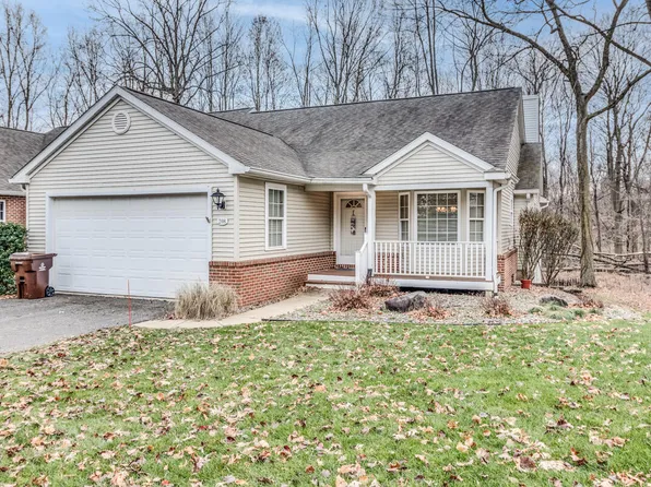 208 Chauncey Ct, Marshall, MI 49068