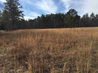 261 Highway Choppe Rd, Hemingway, SC 29554