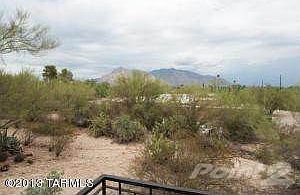 View Out Family Window