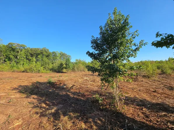 TRACT 5 Butler Rd, Franklin, GA 30217