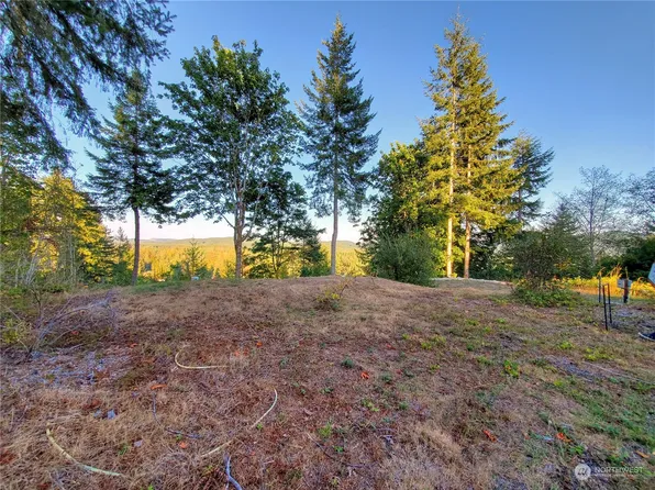 410 W Satsop Drive, Elma, WA 98541