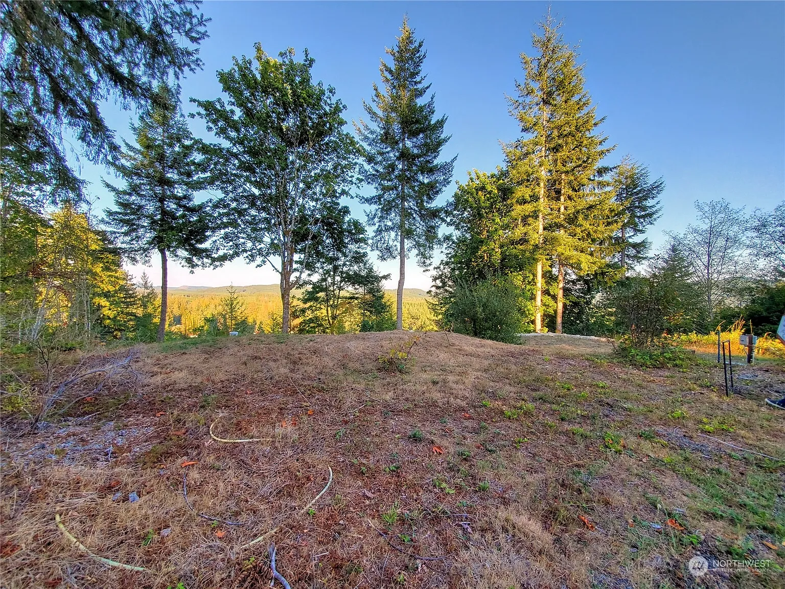 410 W Satsop Drive photo 1