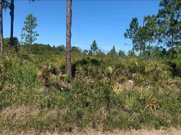 329 Phesant Boulevard, Sebring, FL 33872