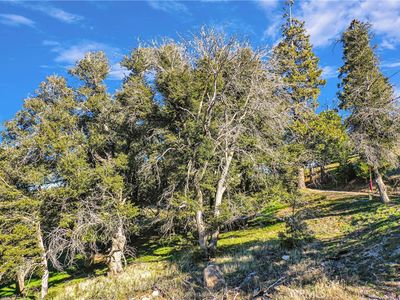 0 Near Mojave River Rd #9, Cedarpines Park, CA, 92322