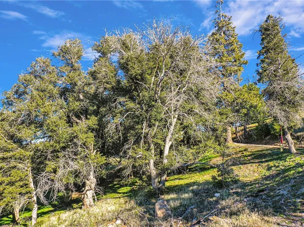 0 Near Mojave River Rd #9, Cedarpines Park, CA 92322