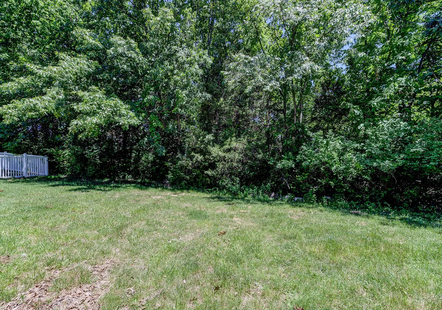 Spacious 3 Bedroom with a finished basement! Fantastic Eureka Location! — Photo 4