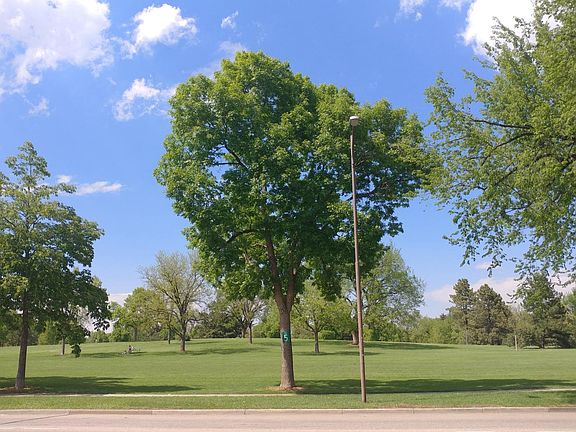 City Park (across the street)