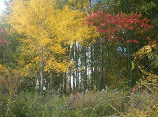 0 S Edgar Rd, Mason, MI 48854