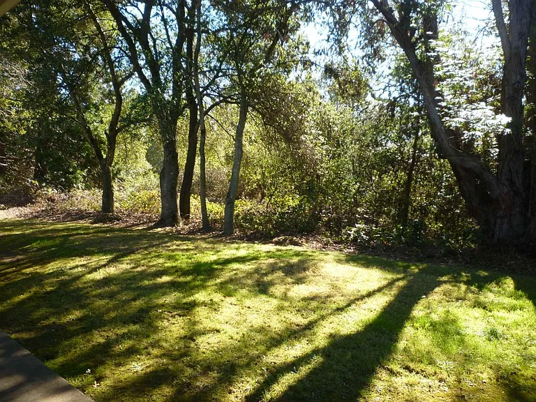 Meadowridge Ct — Photo 6