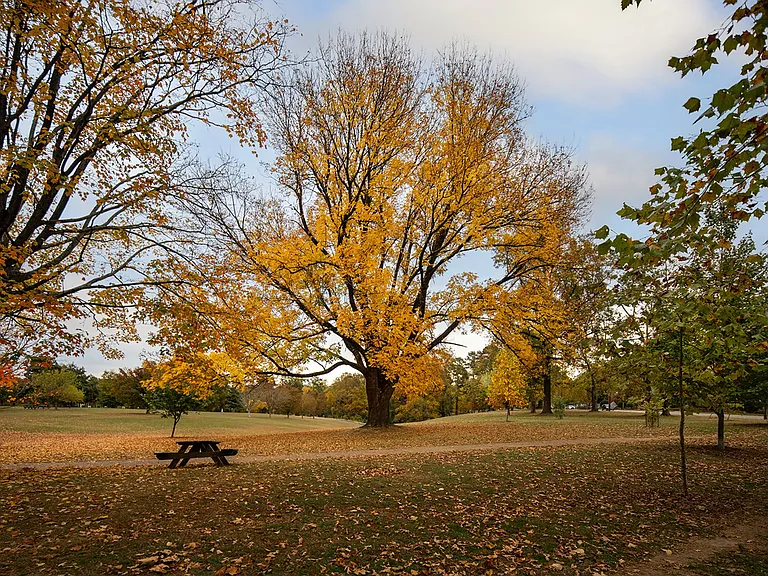 Evelyn — Photo 24