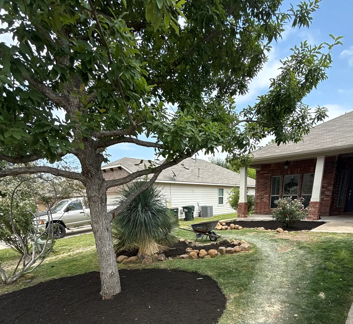 Building Photo - 1097 Violet Ln
