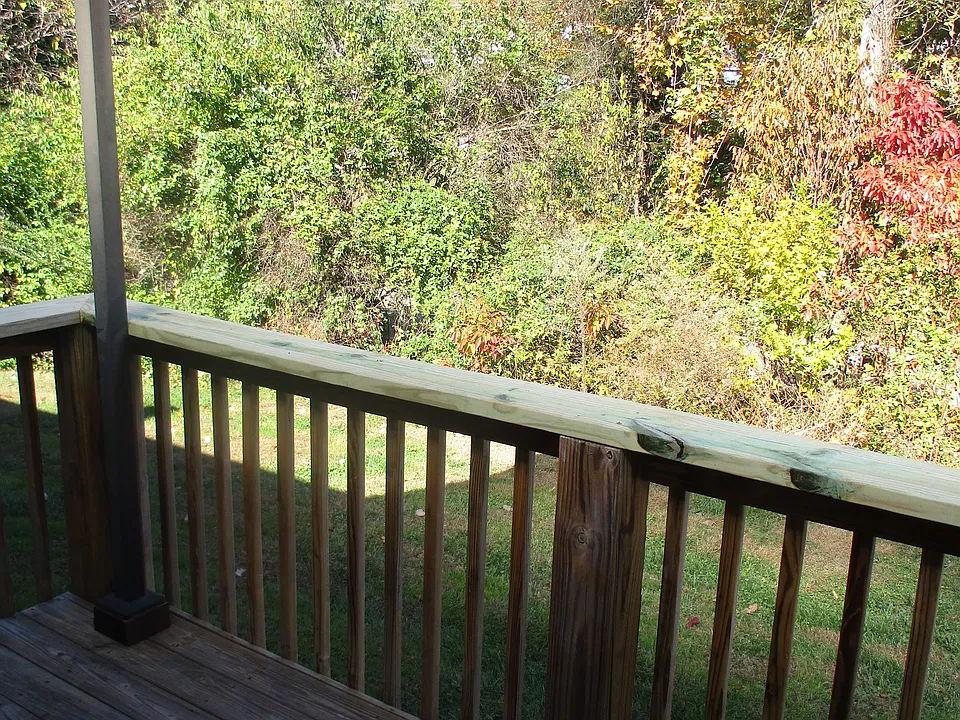 Serene and private back patio
