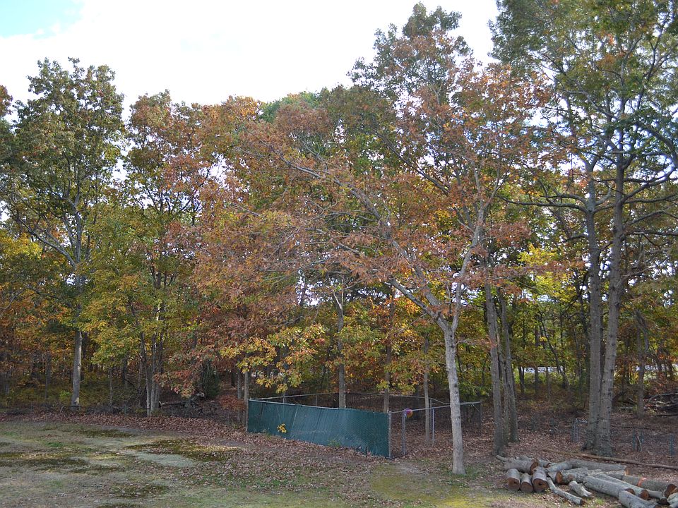 2nd image of 33 Pelican Dr