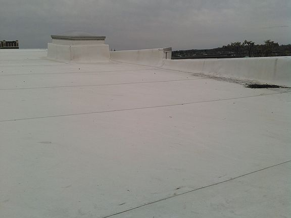 5th image of 10 Morton Ave
