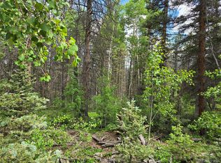 6656 Alden Rd, Fort Garland, CO 81133