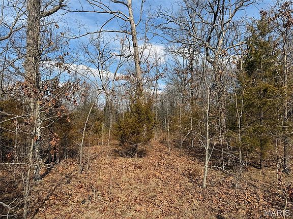 4th image of Dogwood Ln