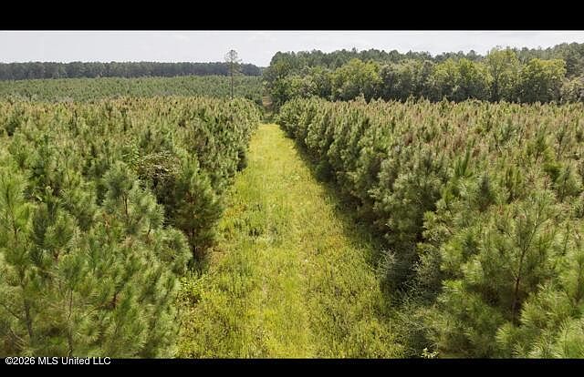 1st image of Ten Mile Creek Rd