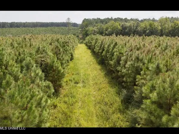 Ten Mile Creek Rd, Tylertown, MS 39667